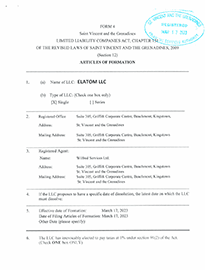 ELATOM LLC Incorporation Document